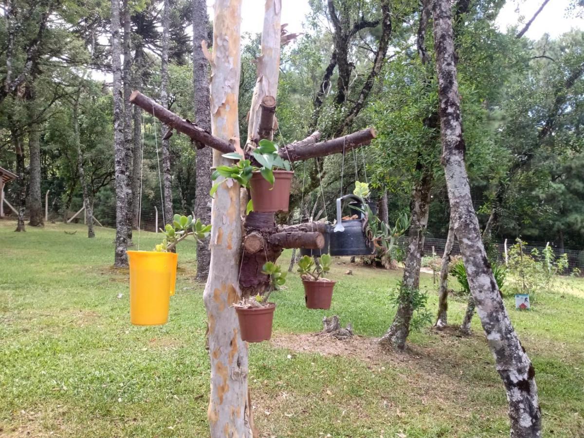 Cabana Romance - Recanto Da Natureza Canela Eksteriør billede